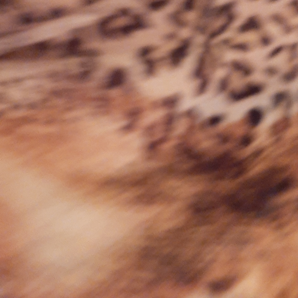 Top - Picture 4 of 8